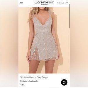 Lucy in the Sky Tia A-Line Grey Sequin Dress
